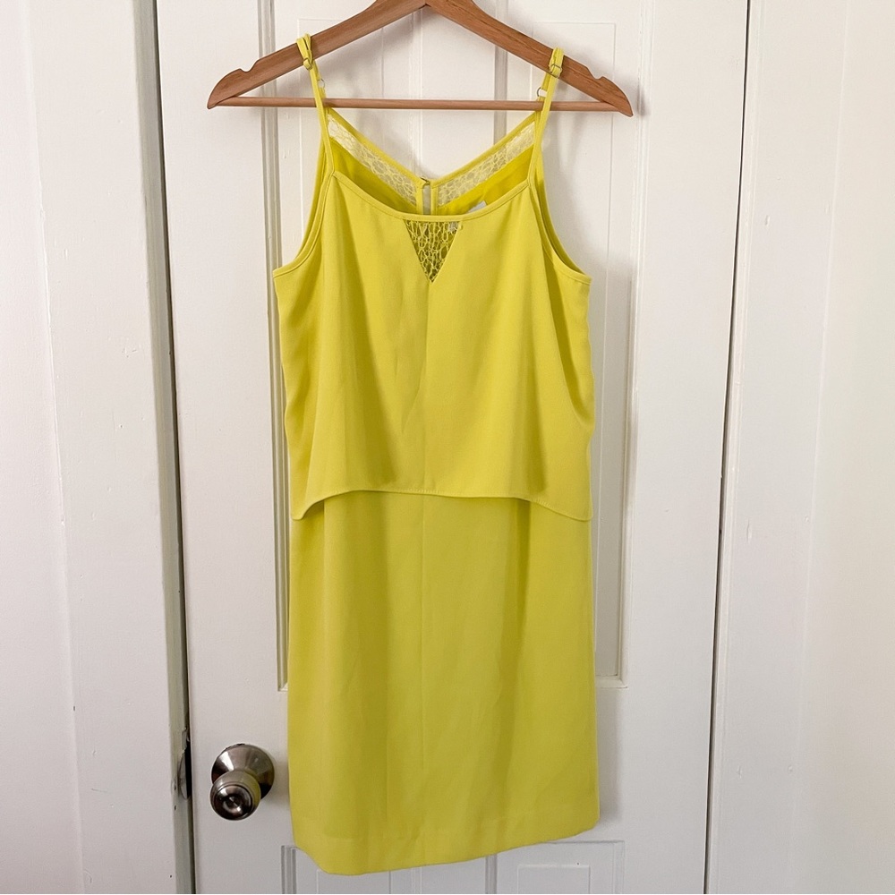 Bar III Dress
